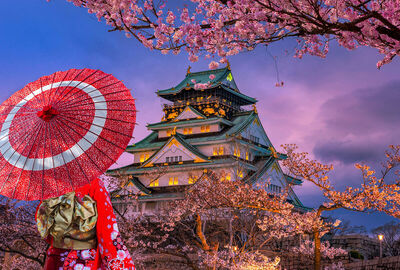 ELEGANT JAPONYA Türk Hava Yolları ile 7 Gece (KIX-NRT)