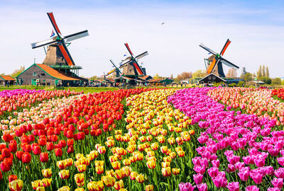 5 ÜLKE ILE BENELÜX & PARİS & KÖLN (PROMO) TURU Pegasus Havayolları ile 7 gece