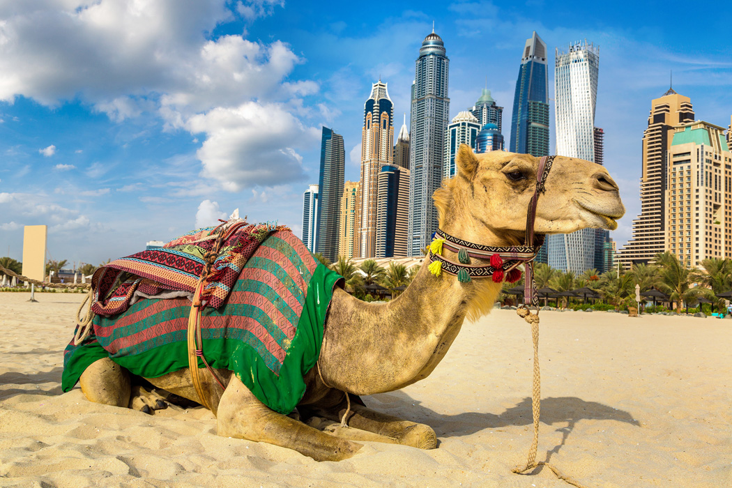 İZMİR'DEN VİZE DAHİL DUBAİ TURU SunExpress Havayolları ile 4 gece