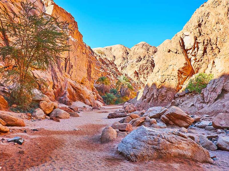 MAXI HER ŞEY DAHİL  SHARM EL SHEIKH TURU Pegasus Havayolları ile 5 gece