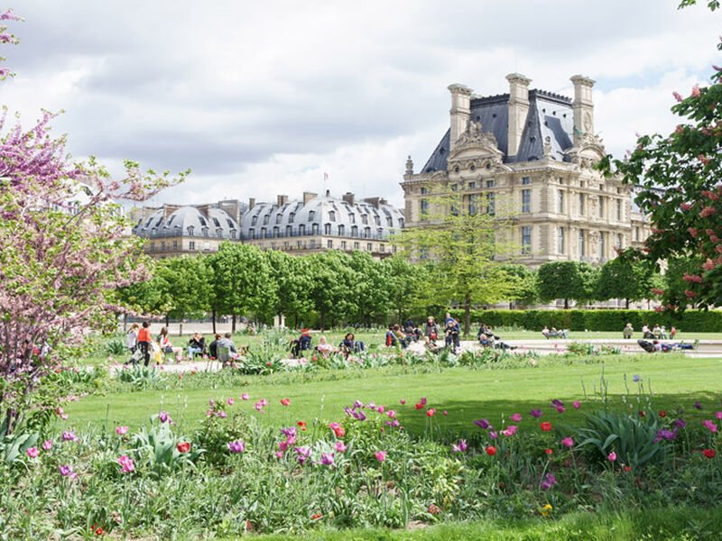 BENELUX & PARİS İKONLARI TURU Türk Hava Yolları ile 4 gece