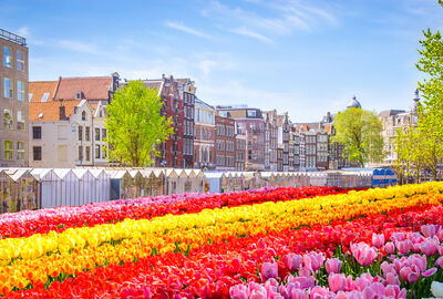 İzmir Çıkışlı Görkemli Üçlü Benelüx – Fransa – Almanya Turu Reims & Köln Şehir Turları Dahil Sunexpress Havayolları ile 7 Gece 8 Gün Ramazan Bayramı Özel ATS001