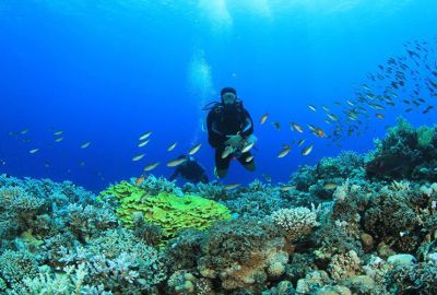 Kahire Sharm El Sheikh Turu Ajet Havayolları ile 6 Gece Kahire Şehir Gezisi Dahil