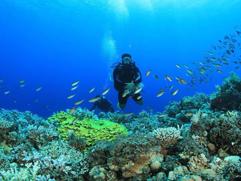 Ankara Çıkışlı Baştanbaşa Mısır ve Ürdün Turu Kurban Bayramı Özel 7 Gece 9 Gün