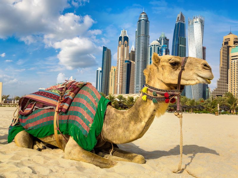 İZMİR'DEN DUBAİ TURU SunExpress Havayolları ile 3 gece