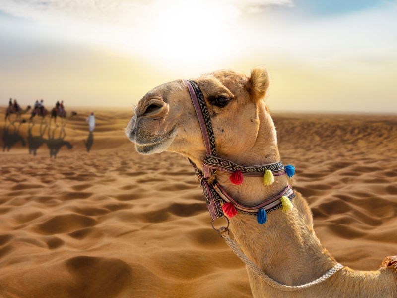 ANTALYA’DAN VİZE DAHİL DUBAİ TURU Pegasus HY Özel Seferi ile Gidiş / SunExpress HY Tarifeli Seferi ile Dönüş ile 3 gece