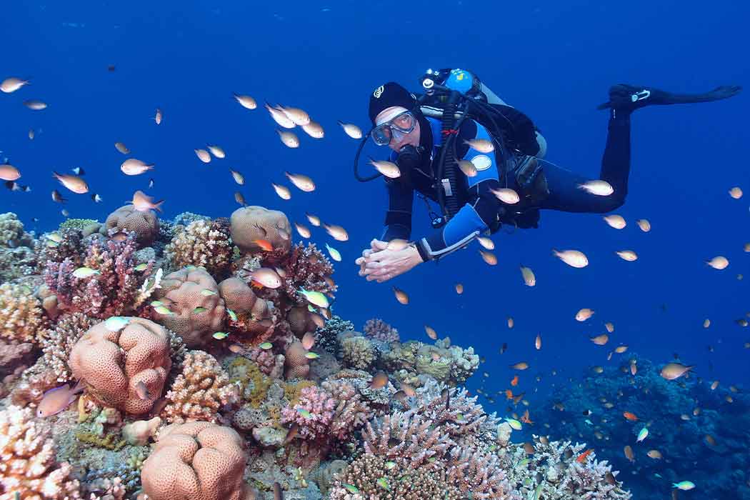 MAXI HER ŞEY DAHİL  SHARM EL SHEIKH TURU Pegasus Havayolları ile 4 gece