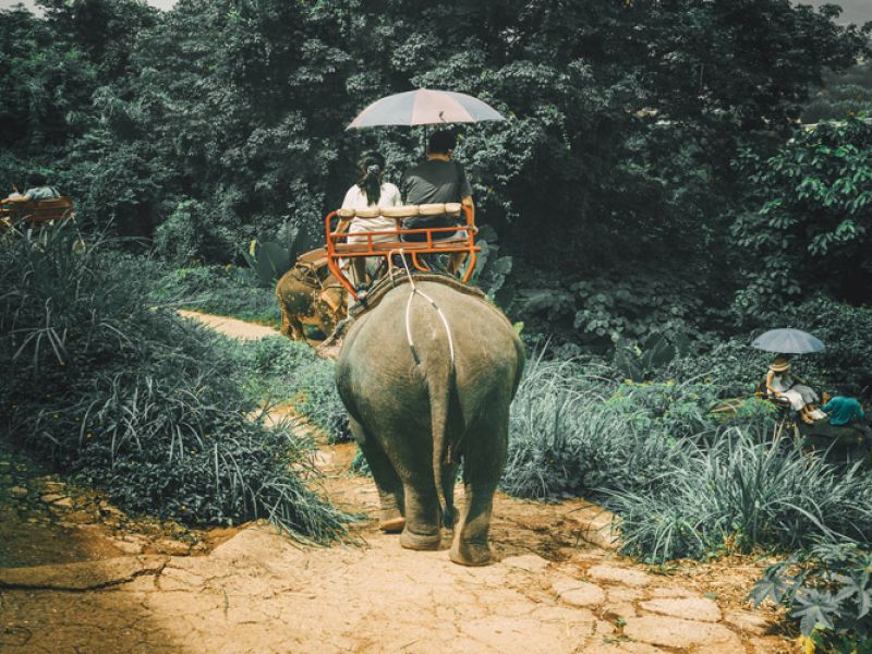 Görkemli Tayland'ın İncileri 7 Gece - Türk Hava Yolları ile 01 Mayıs (01 Mayıs Özel) 