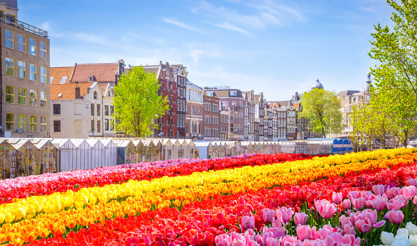 Ramazan Bayramı Özel Antalya Hareketli Görkemli Üçlü Benelüx Fransa Almanya Turu Sun Express Havayolları ile 7 Gece ATS001