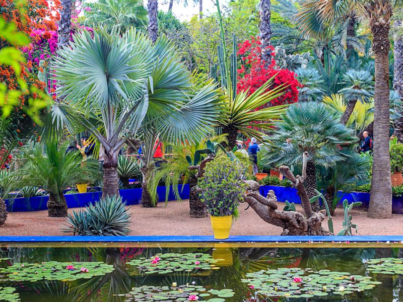 Görkemli Fas Krallığı ve Mistik Şehirler 3 Gece - Air Arabia Hava Yolları ile 2026 İlkbahar & Yaz Dönemi 