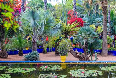 Görkemli Fas Krallığı ve Mistik Şehirler 4 Gece - THY ile (2026 İlkbahar Dönemi) 