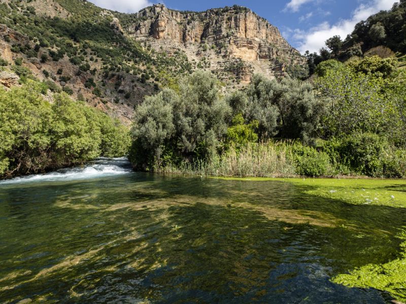 Görkemli Fas Krallığı ve Mistik Şehirler 6 Gece - THY ile (2026 Kış Dönemi) 