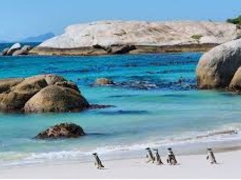 Görkemli Güney Afrika ve Safari 7 Gece Türk Hava Yolları ile 23 Mayıs Hareketli (Kurban Bayramı Özel) (CPT - JNB) 