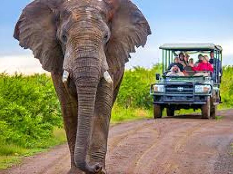 Görkemli Güney Afrika ve Safari 7 Gece Türk Hava Yolları ile 23 Mayıs Hareketli (Kurban Bayramı Özel) (CPT - JNB) 