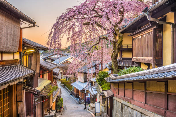 KLASİK JAPONYA & GÜNEY KORE
