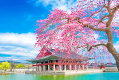 * VİZESİZ * - DIAMOND PRINCESS İLE UZAKDOĞUNUN İNCİSİ JAPONYA & GÜNEY KORE - KURBAN BAYRAMI - 2026