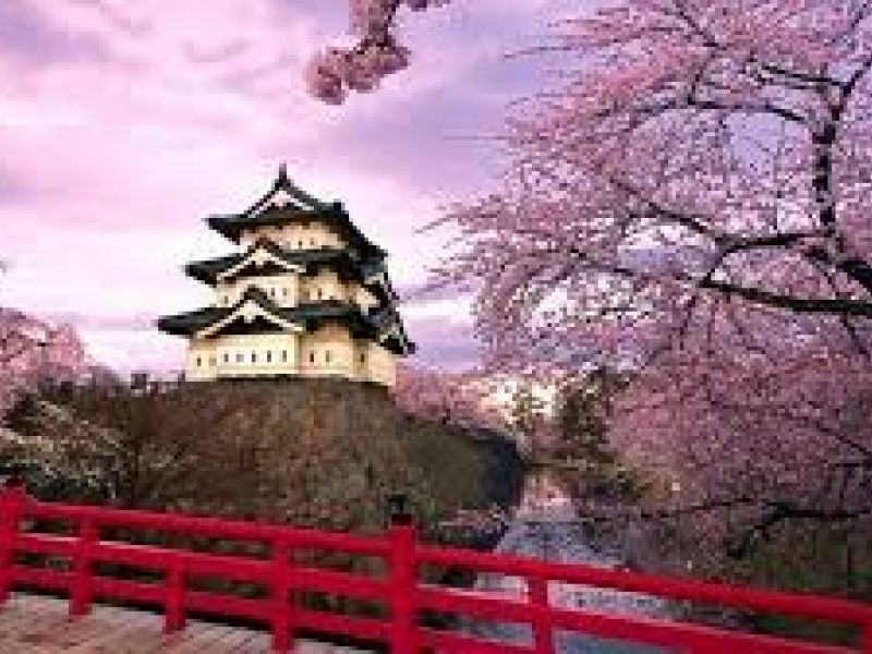 * VİZESİZ * - DIAMOND PRINCESS İLE UZAKDOĞUNUN İNCİSİ JAPONYA & GÜNEY KORE - KURBAN BAYRAMI - 2026