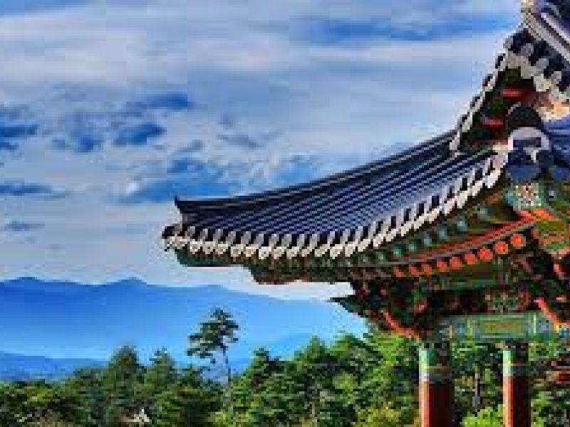 * VİZESİZ * - DIAMOND PRINCESS İLE UZAKDOĞUNUN İNCİSİ JAPONYA & GÜNEY KORE - KURBAN BAYRAMI - 2026