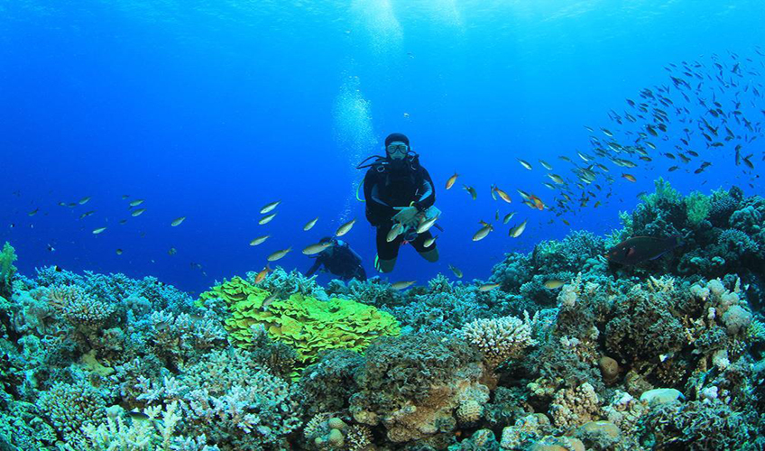 Kahire Sharm El Sheikh Turu Ajet Havayolları ile 5 Gece Kahire Şehir Gezisi Dahil