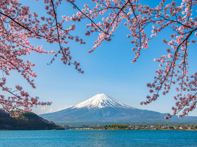 ELEGANT JAPONYA Türk Hava Yolları ile 7 Gece (KIX-NRT)