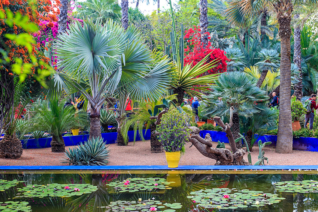 Görkemli Fas Krallığı ve Mistik Şehirler 4 Gece - THY ile (2026 İlkbahar Dönemi) 