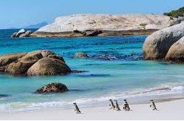 Görkemli Güney Afrika ve Safari 7 Gece Türk Hava Yolları ile 23 Mayıs Hareketli (Kurban Bayramı Özel) (CPT - JNB) 