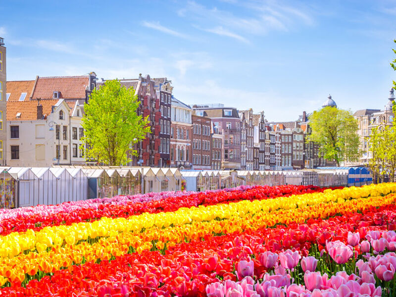 Adana'dan Benelux & Paris & Köln Turu SunExpress Havayolları İle 7 Gece 8 Gün COV-DUS IS001