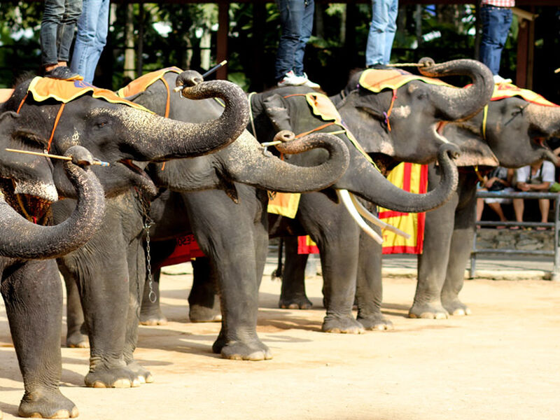 Bangkok Pattaya Phuket Turu Ramazan Bayramı Özel Qatar Havayolları ile 7 Gece 9 Gün